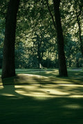 Golfer's Vinyl 120