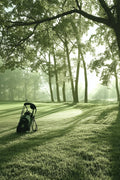 Golfer's Vinyl 121