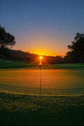 Golfer's Vinyl 129
