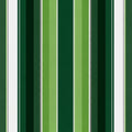 Golfer's Vinyl 79