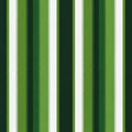 Golfer's Vinyl 81