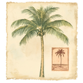 Summer Travel Decal 27