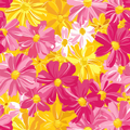 Tropical Vinyl 19