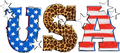 USA Flag Leopard Decal