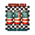 2026 USA Decal 15