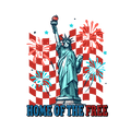 2026 USA Decal 20