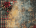 Christmas Vinyl 791