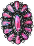 Spring '25 Western Decal 29