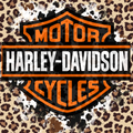HARLEY VINYL 6