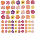 Floral Element Sheet 1