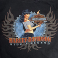 HARLEY VINYL 2
