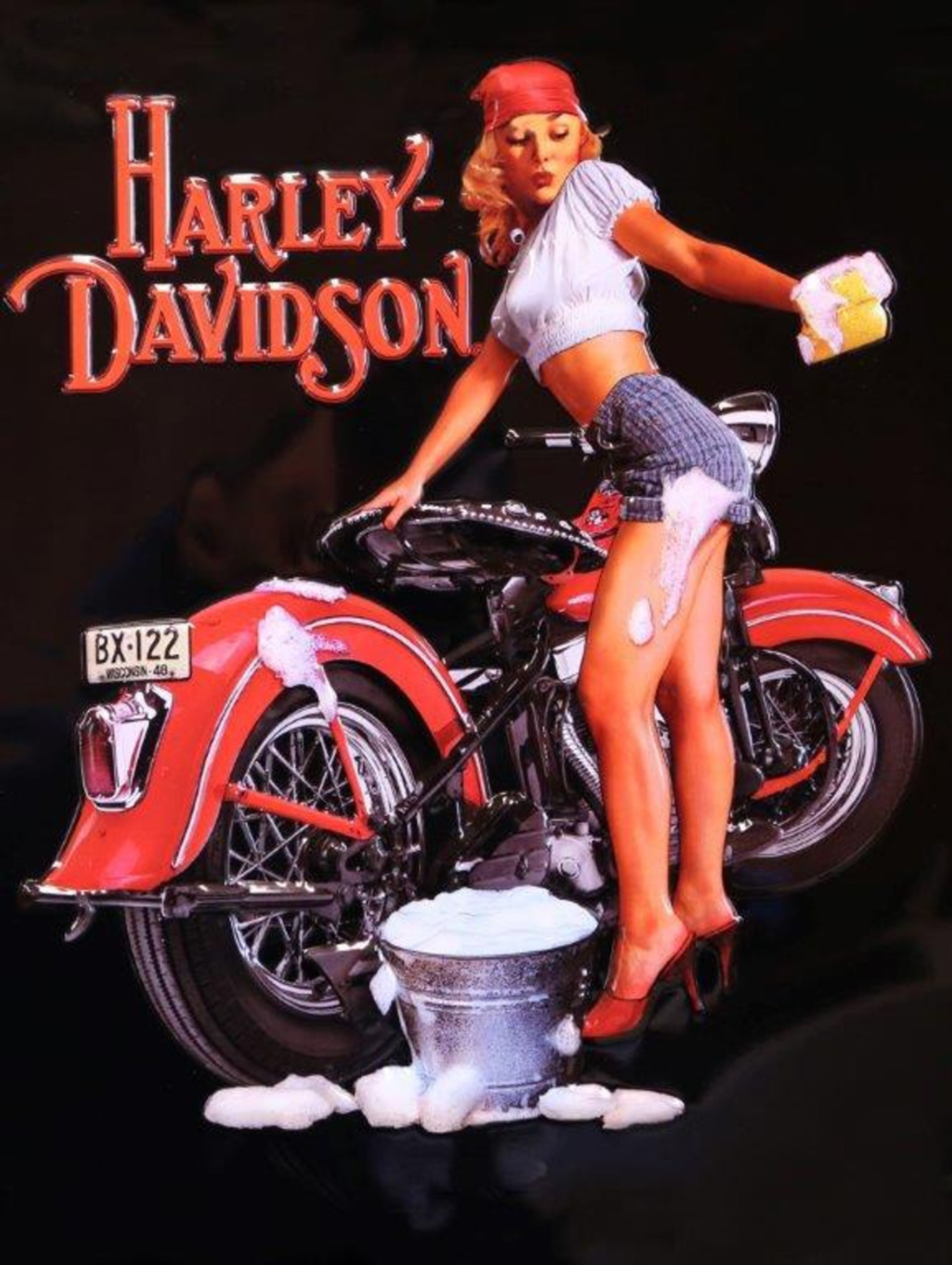 HARLEY VINYL 16
