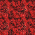 VTC6