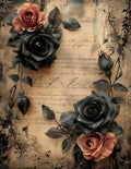 KnockKnock Valentine 13