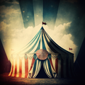 Circus Collection Vinyl 42
