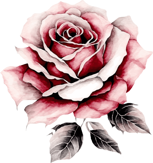 Vintage Floral Collection