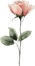 Vintage Floral Collection- Decal 5
