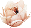 Vintage Floral Collection- Decal 6