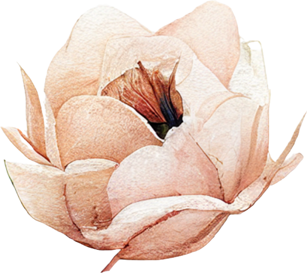 Vintage Floral Collection- Decal 6
