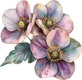 Vintage Floral Collection- Decal 9