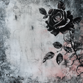 Gothic Collection 1-Vinyl 4