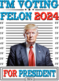 Voting for a Felon