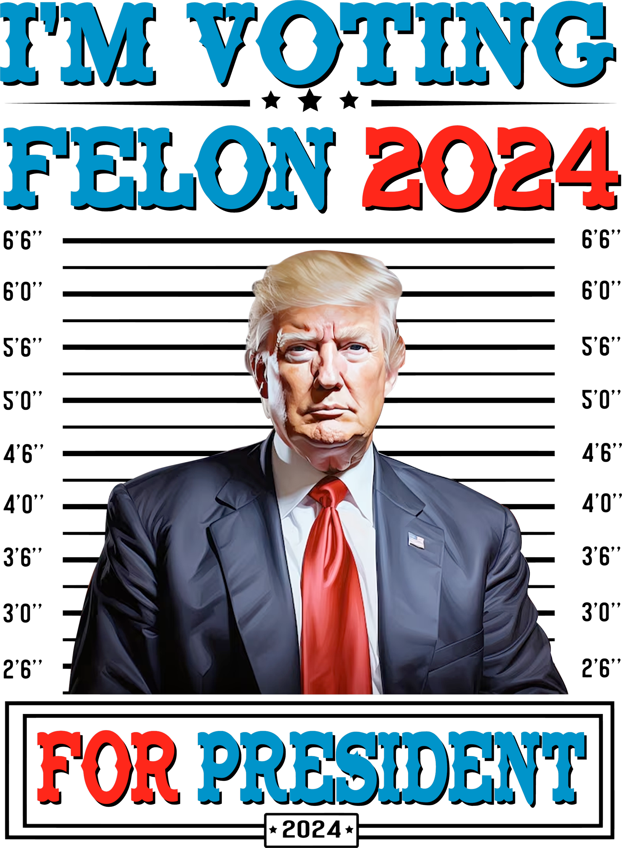 Voting for a Felon