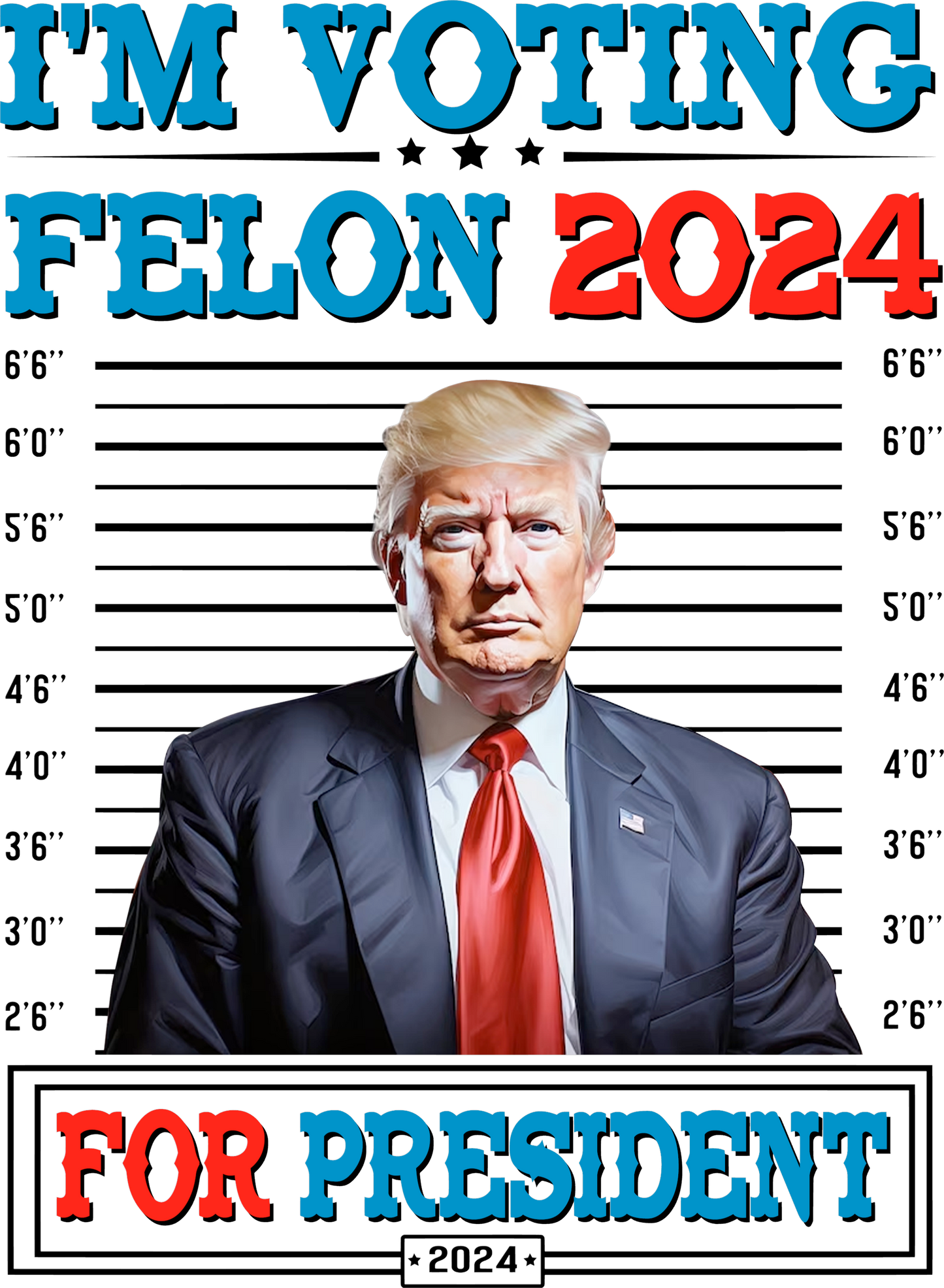 Voting for a Felon