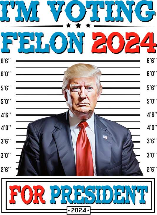 Voting for a Felon