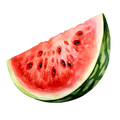 Watermelon Decal 1