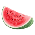 Watermelon Decal 14