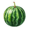 Watermelon Decal 15