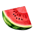 Watermelon Decal 2