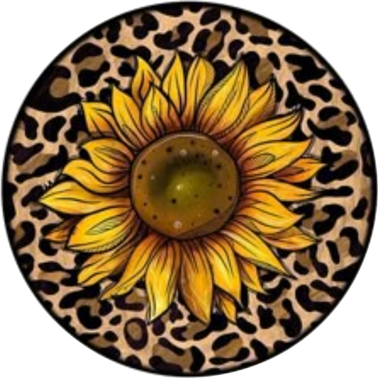 Spring '25 Western Decal 11