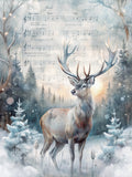 Christmas Vinyl 428