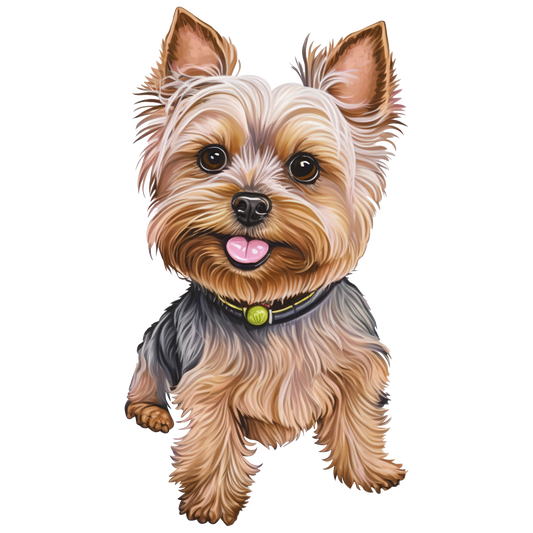 Yorkie 3