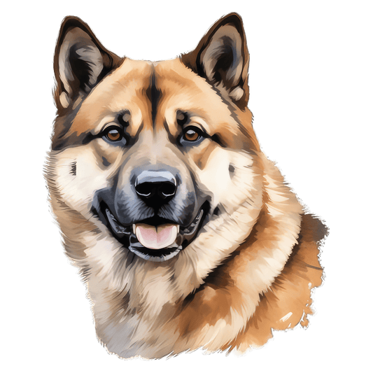 Akita