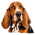 Bassett