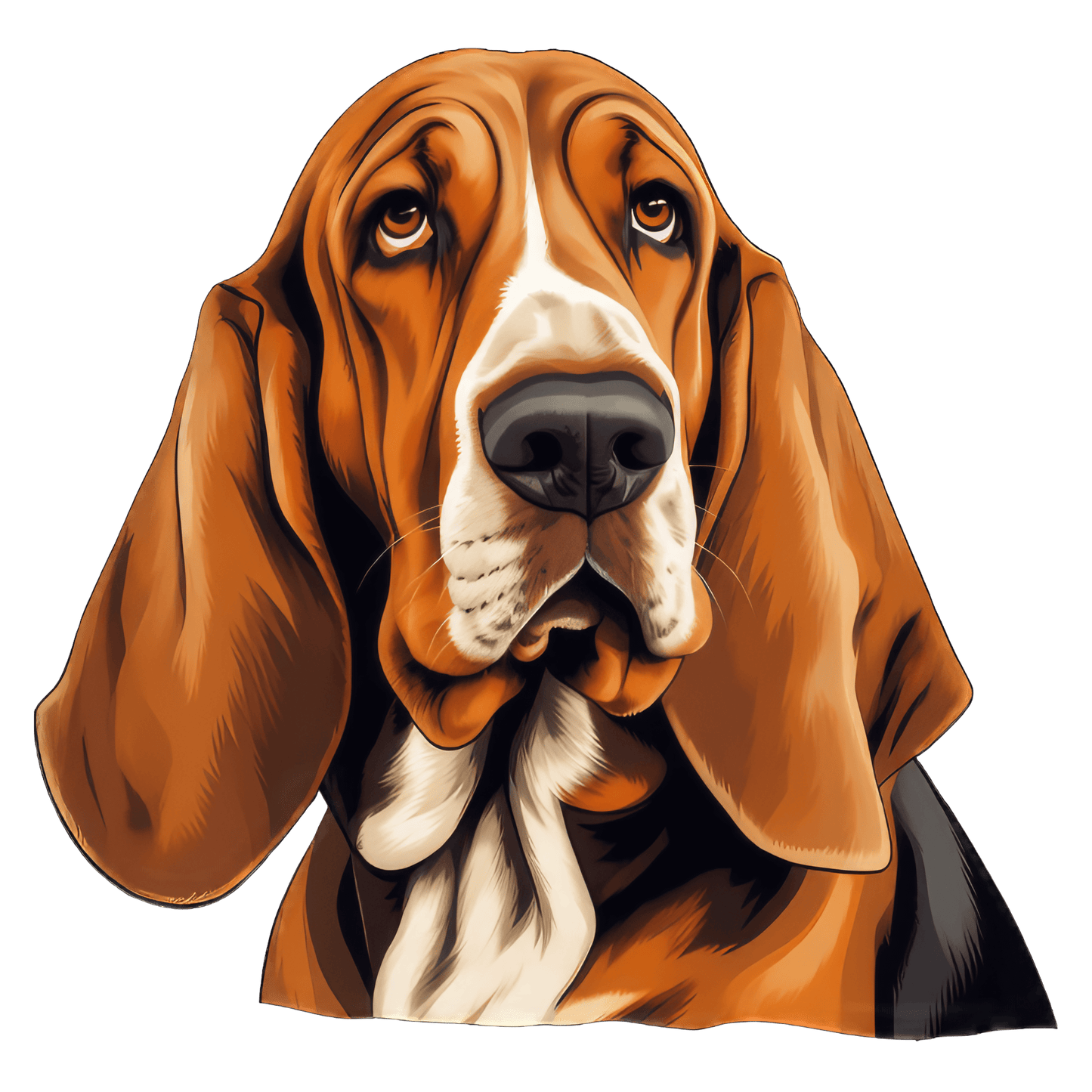 Bassett