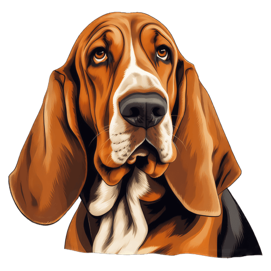 Bassett