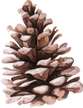 Christmas Decal 45