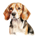 Beagle 3