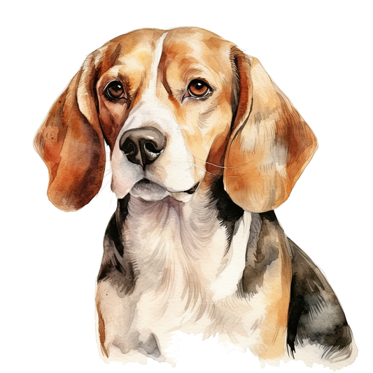 Beagle 3