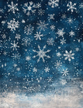 Christmas Vinyl 434