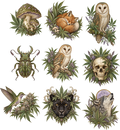 *High* Maintenance Element Sheet 4