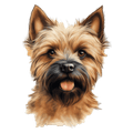 Cairn Terrier