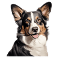 Corgi