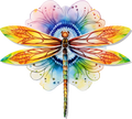 Colorful Dragonfly