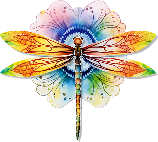 Colorful Dragonfly