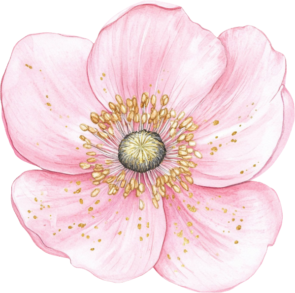 Petals & Pistols Collection- Decal 1
